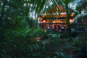Songbirds Rainforest Retreat - Sunshine Coast Tourism