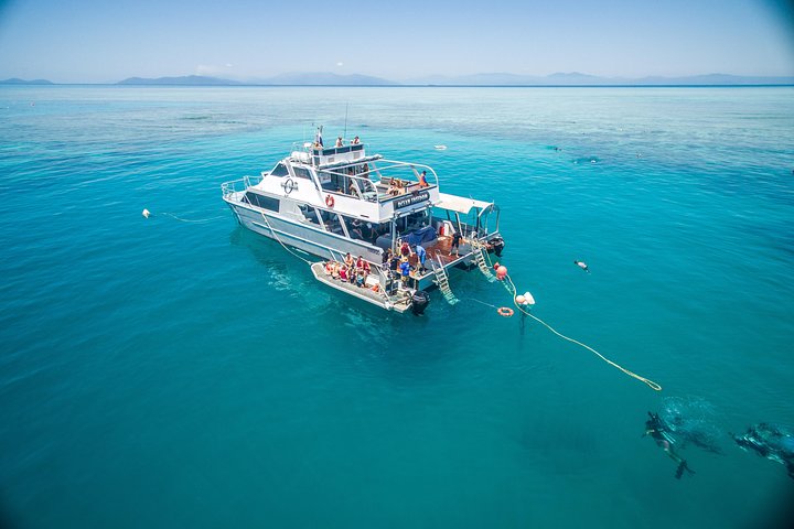 Ocean Freedom Great Barrier Reef Personal Luxury Snorkel  Dive Cruise Cairns - Sunshine Coast Tourism